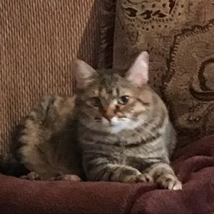 Meet your Posher, Julie